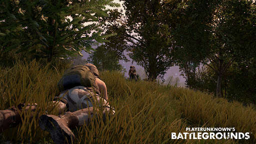 player unknown battlegrounds hardcore mode