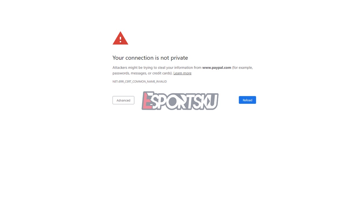 Paypal Sudah Terdaftar PSE Tapi Situs Masih Diblokir!