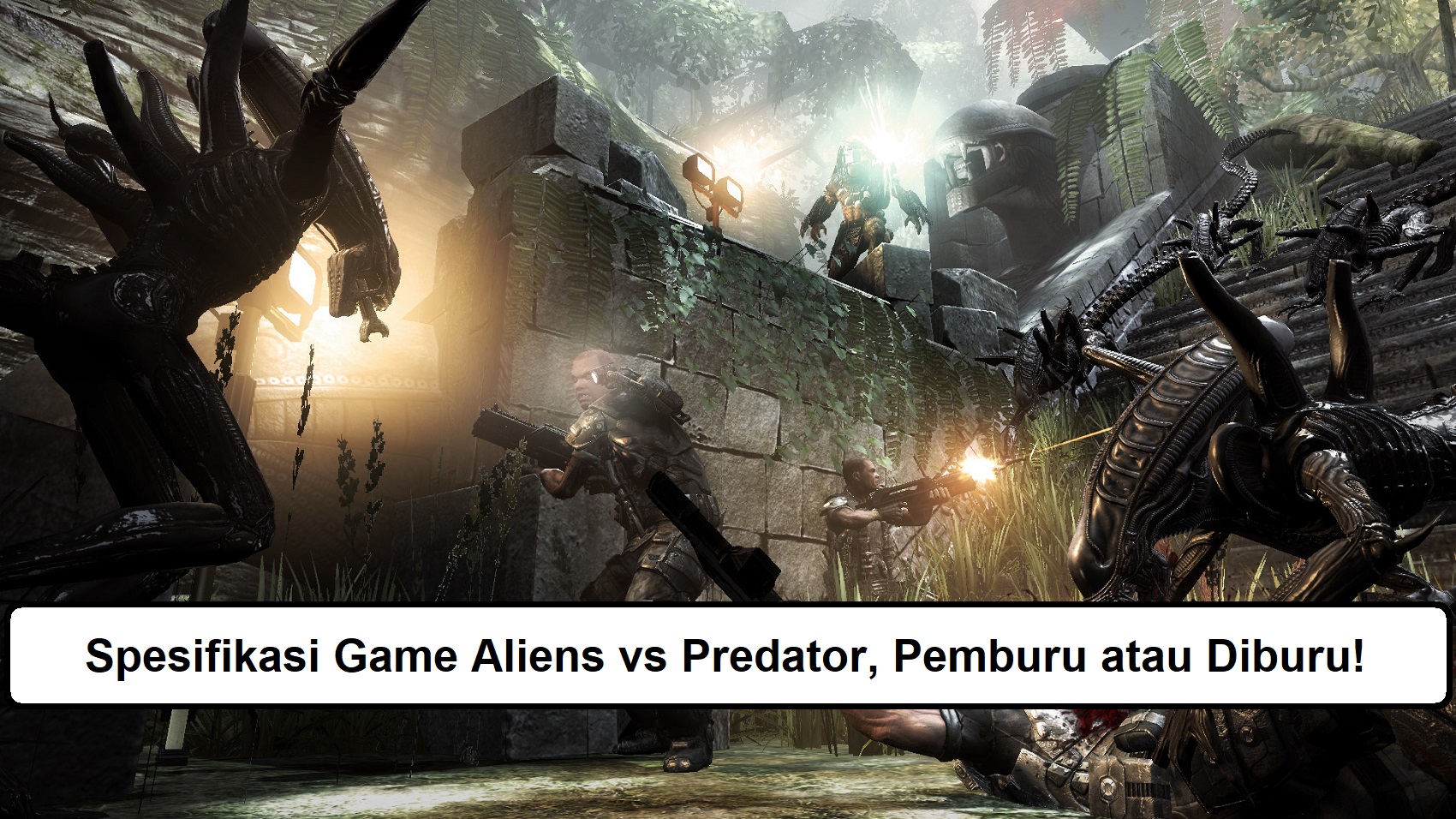 Spesifikasi Game Aliens vs Predator, Pemburu atau Diburu!