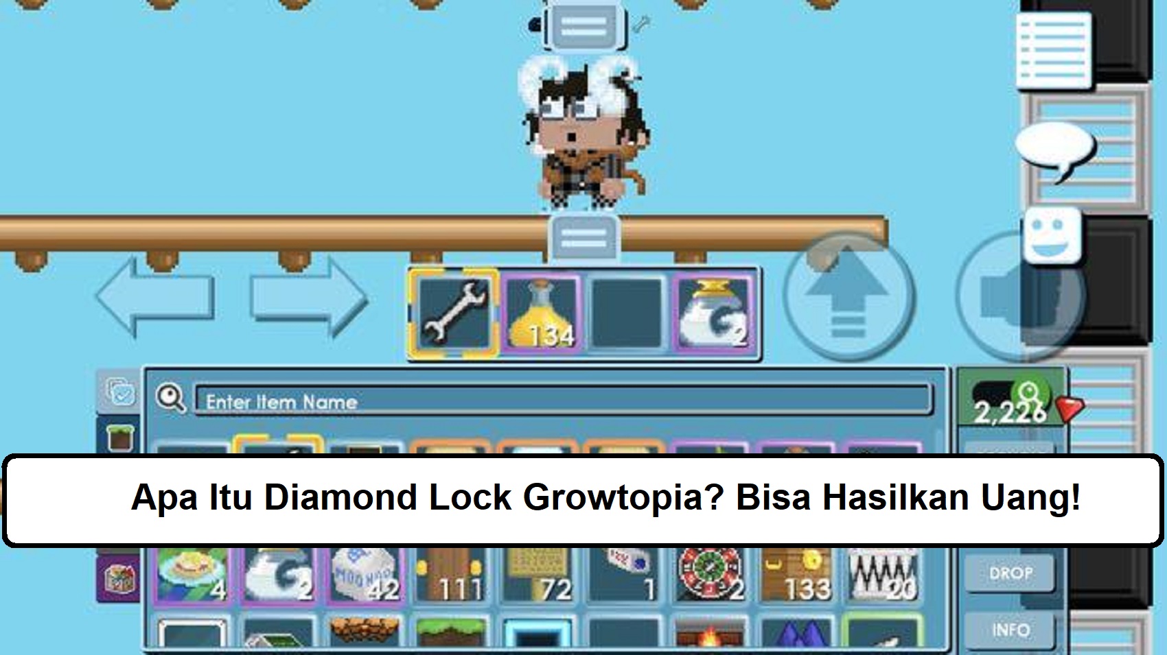 Apa Itu Diamond Lock Growtopia? Bisa Hasilkan Uang!