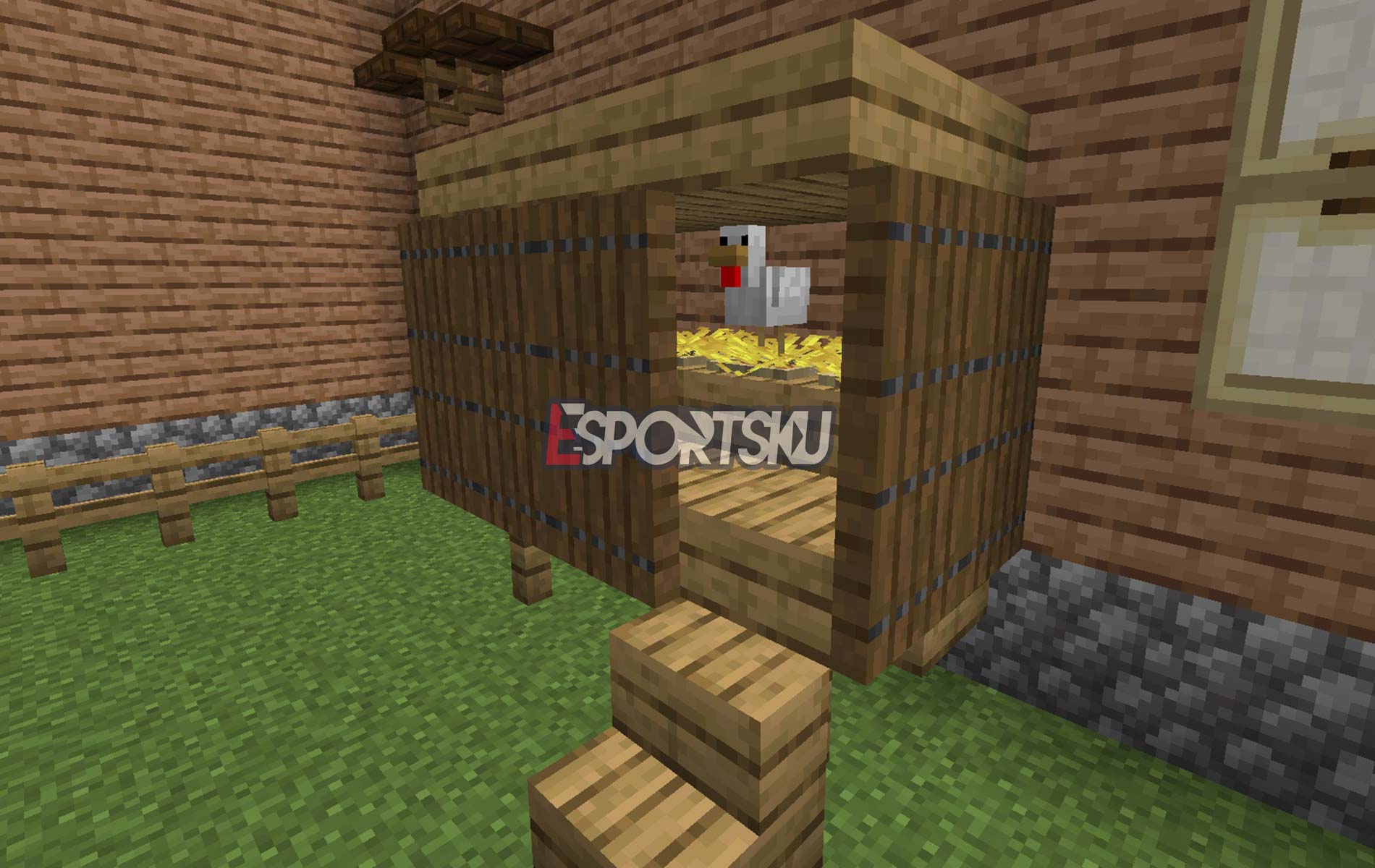 Cara Berternak Ayam Minecraft dengan Mudah