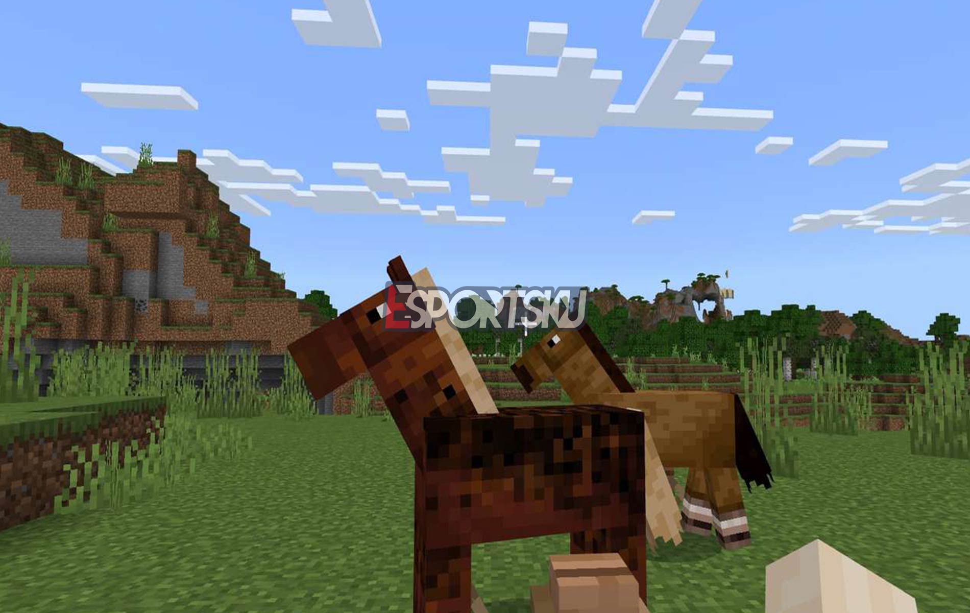 Jenis Makanan Kuda di Minecraft