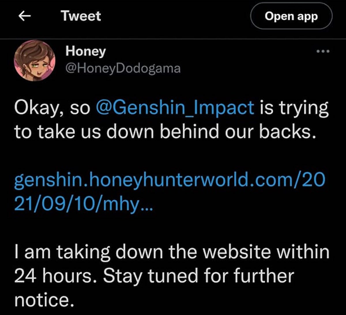 Berantas Leaker, miHoYo Take Down Situs Datamine Honey Impact Esportsku