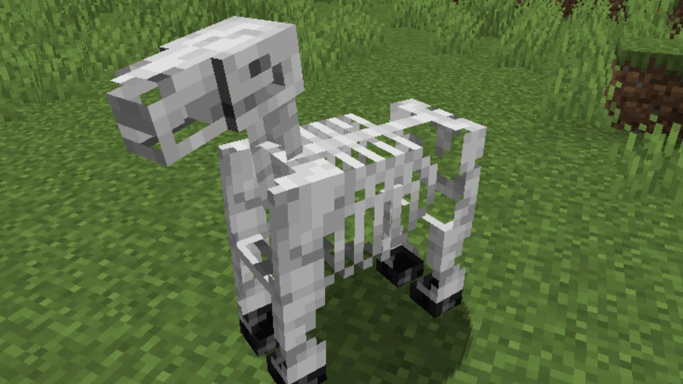 Cara Menemukan Skeleton Horse Minecraft Esportsku