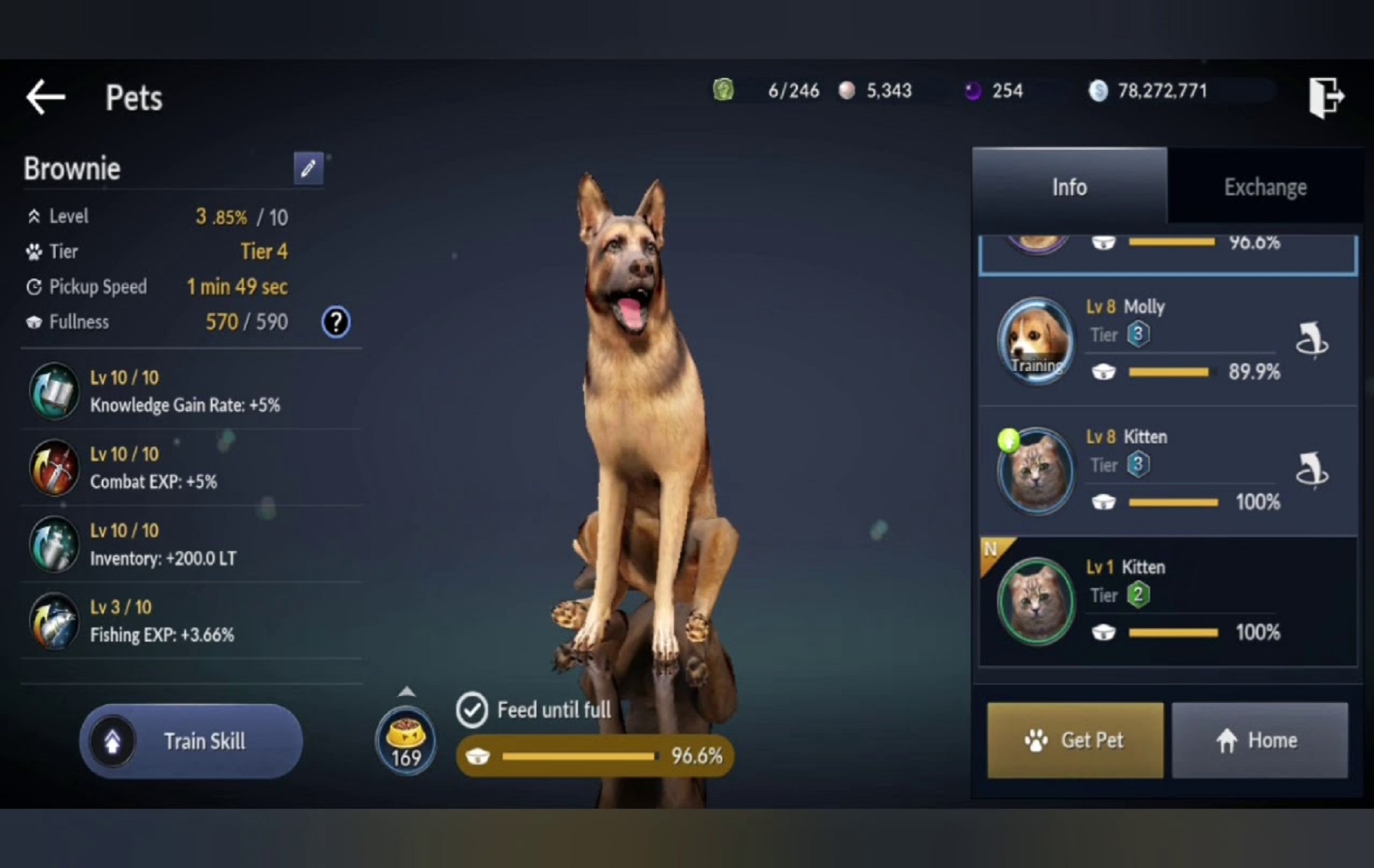 Cara Dapat Pet Di Game Black Desert Mobile, Terlengkap Esportsku