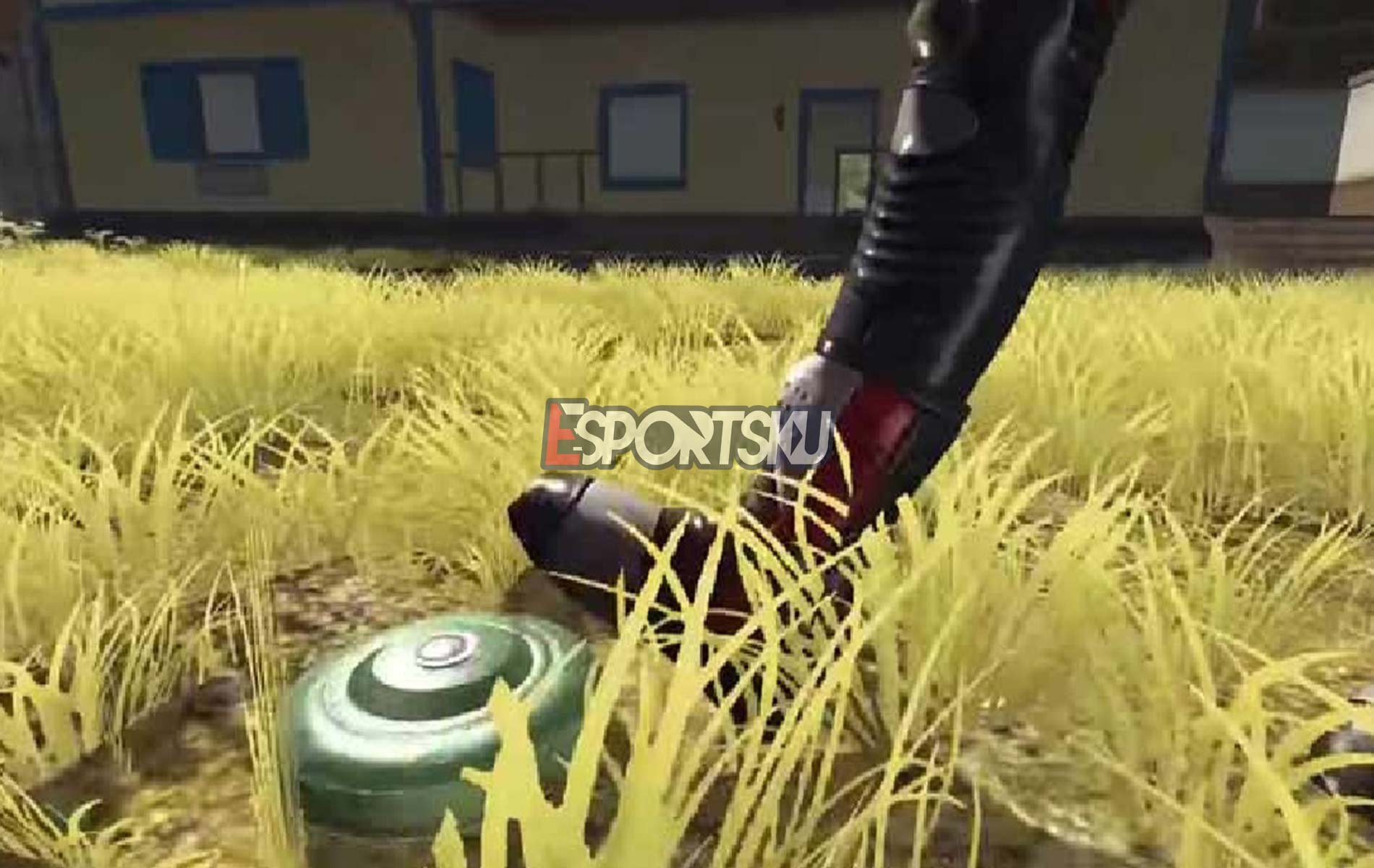 Gambar Landmine Free Fire (FF) Kecil Berbahaya Esportsku