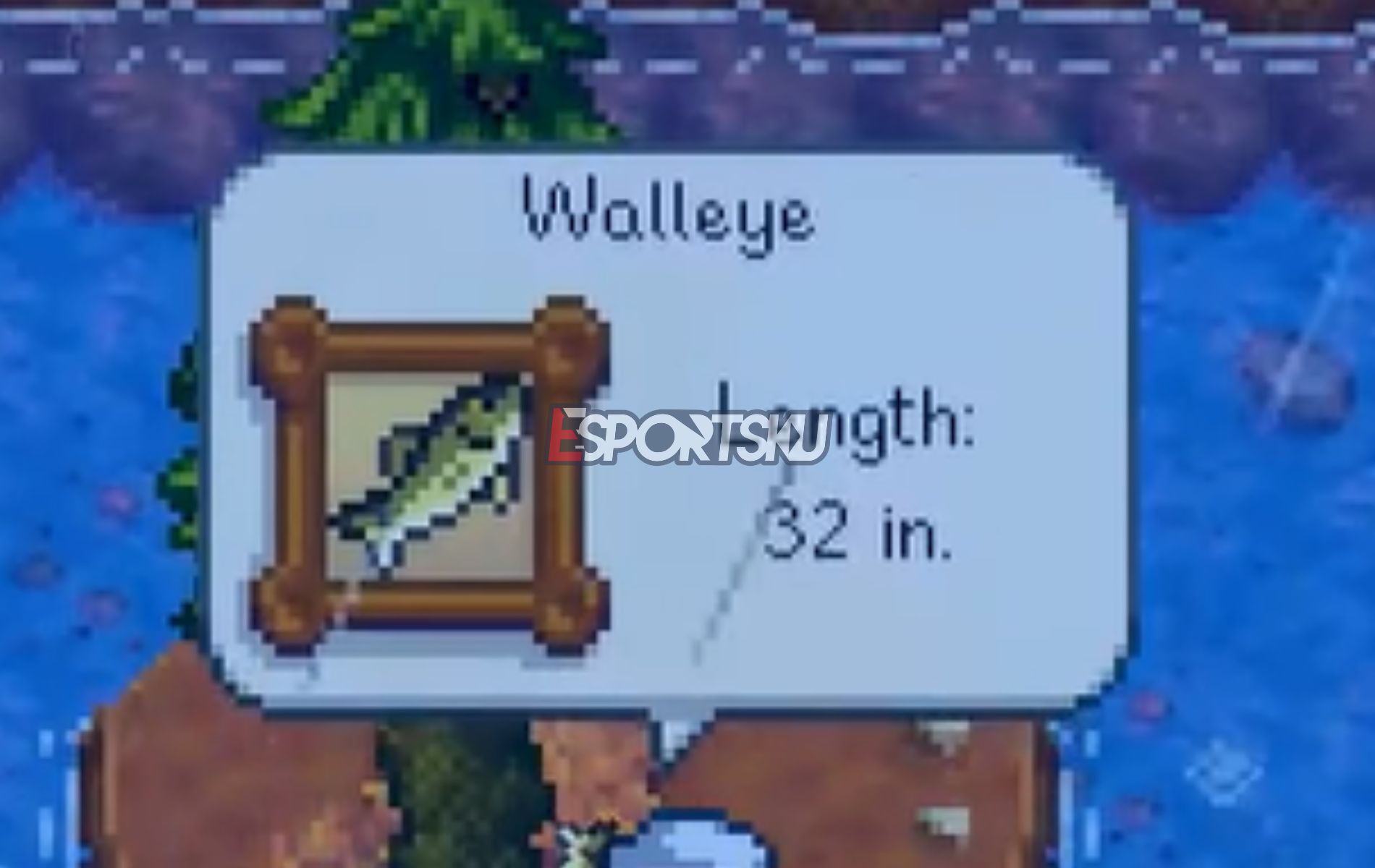 Cara Menangkap Ikan Walleye di Stardew Valley, Musim Terbaik dan ...